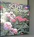Scent in Your Garden