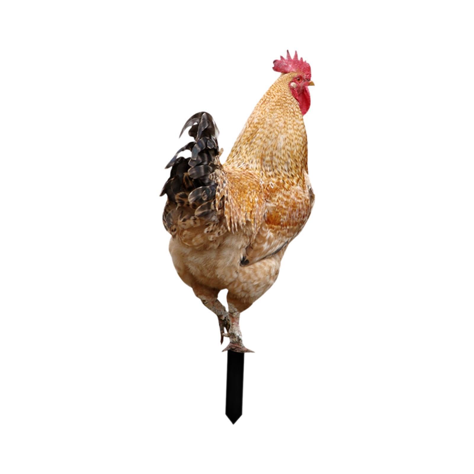 Mophrati Garden Stakes Chicken Garden Statue Vibrant Chicken Sculpture Adds Cheer To Outdoor Space Just Insert On Ground Animal Statue Stakes Sculpture, Style A