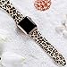 Laffav Compatible with Apple Watch Band 40mm 38mm for Women Men, Classic Leopard, M/L