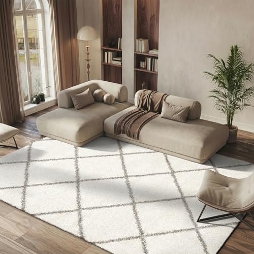 SAFAVIEH Hudson Shag Collection Area Rug - 8' x 10', Ivory & Grey, Modern Trellis Design, Non-Shedding & Easy Care, 2-inch Thick Ideal for High Traffic Areas in Living Room, Bedroom (SGH281A)