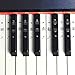 Autocollant Piano 88/61/54/49/37/32 Touches Stickers Complet pour Touche Blanc et Noir Transparent Amovible pour Débutant Enfant Amateur