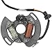 Caltric Stator Compatible With Yamaha Blaster 200 Yfs200 1997-2002