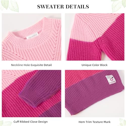 Girls' Sweaters Color Block Pullover Jumper Knit Long Sleeve Rainbow Sweaters Kids Crewneck Casual Jumper3