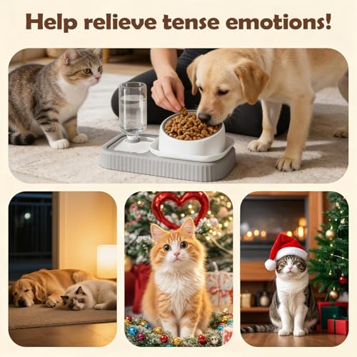 Gamelle d'eau anti-déversement pour chaton et chat