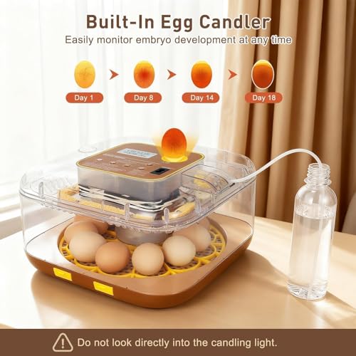 Gen IV - 12 Egg Fully Automatic Incubator, 2026 Upgraded Design, Intelligent Sensor-Based Humidity & Temp Control, Custom Hatch Days, Adjustable Auto Turning with Auto-Stop, 360° View, Alarm, Candler by GleeGearNex - Image 3