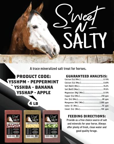 Kalmbach-Feeds-Sweet-N-Salty-Peppermint-Flavored-Salt-Treat-Brick-for-Horses-4-lb
