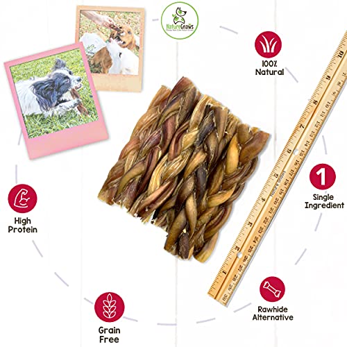 Nature Gnaws Braided Pork Bully Sticks 5-6″ for Dogs – Premium Natural Dog Chew Treats – Dental Bones for Aggressive Chewers – Rawhide Free (20 Count) Nature Gnaws Braided Pork Bully Sticks 5-6″ for Dogs – Premium Natural Dog Chew Treats – Dental Bones for Aggressive Chewers – Rawhide Free (20 Count)
