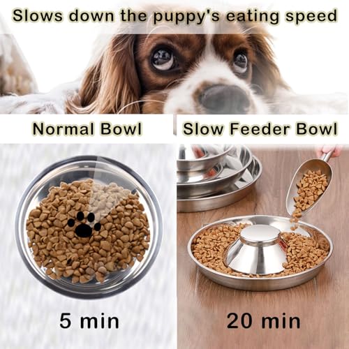 Nexboraque 2 Stück Edelstahl-Welpennäpfe – 25,4 cm Welpen-Futterspender Langsame Futternäpfe für mehrere Welpen – Futter- und Wassernapf für kleine Hunde, Katzen