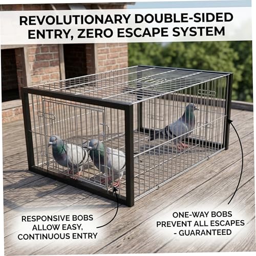Piège à pigeons pour usage domestique extérieur sur terrasse - 3