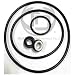 Hayward MAX-FLO II Pool Pump Seal & O-ring Kit