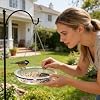 Flat Bird Feeder Tray - Round Feeding Dish - Bird Water Bowl Replacement - for Finch, Sparrow, Lovebird, Park, Courtyard, Terrace, Outdoor, Garden, Deck, Balcony, Fence #3
