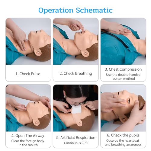 CPR Manikin, Professionelle Erwachsene Erste Hilfe Beatmung Dummy für Training und Unterricht, Gummi Halbkörper Wiederbelebungshilfe
