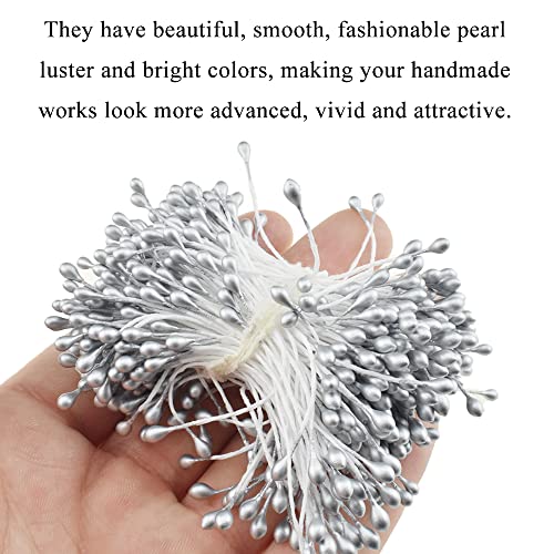 Hahiyo 700Pcs 3Mm Silver Pearl Double Heads Flower Stamen Pistil Hand-Made Artificial Flower Pistil Para Flores Pearlized Floral Stamen Flower Pollens Stamen For Flower Making Scrapbook Decoration #TOP4