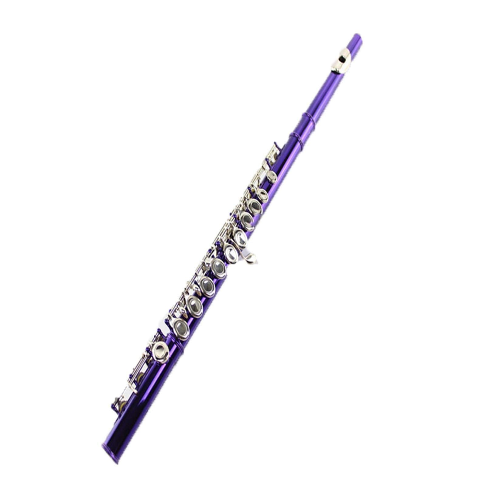 flet prosty Instrument dęty Kolorowy flet 16 otworów Zamknięty otwór Klawisz C Flet B Tail Klucz E Fioletowy niklowany klucz Flet