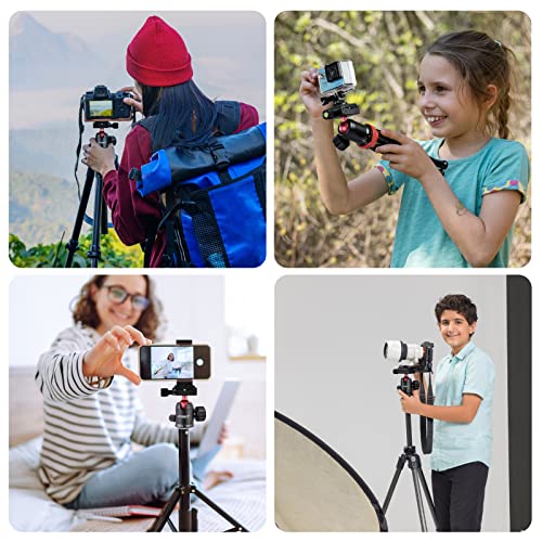 Utebit Mini Ball Head, 360° Panoramic Tripod Head With 1/4" Screw 3/8" Thread Mount, Metal Quick Release Plate Compatible With Arca Swiss For Video Cameras Dslr Cameras Loading 11.02Lb #TOP6