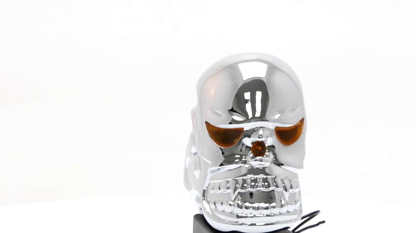 Amazon.com: GG Grand General 48370 Chrome Flamed Skull Hood
