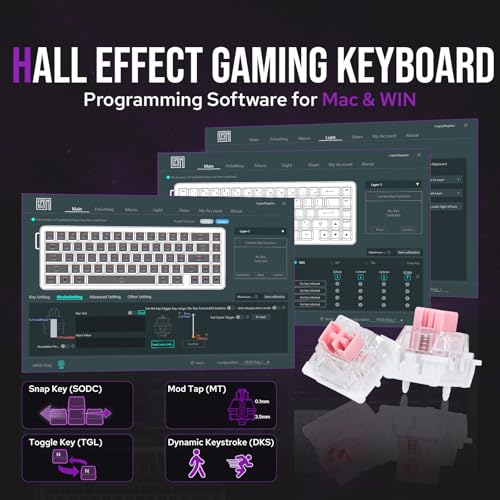 Image of EPOMAKER HE68 Wired Magnetic Gaming Keyboard, 8K Polling Rate, 0.125ms Latency, RGB Backlit, Board Mount, USB-A to C, Portable for Mac /PC /PS /Switch (White)