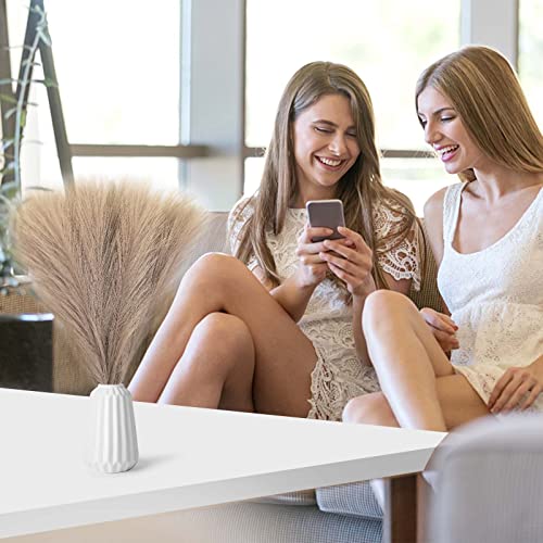 Colexy Erba di Pampa Artificiale, 5 Pz Fiore di