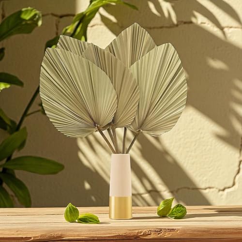 La mejor selección de Hojas secas - los preferidos. 5 Imagen adicional