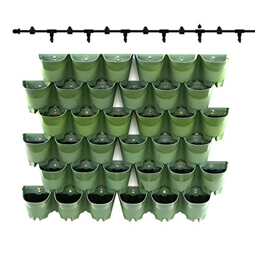 Worth Garden SELF Watering Indoor/Outdoor Vertical Wall Hangers Pots Included Wall Plant Hangers