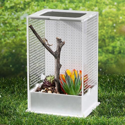 Observer l'alimentation des insectes avec notre terrarium en acrylique