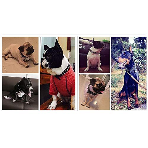 Collier pour chien grand chien en microfibre durable REYG style rock à pointes noires