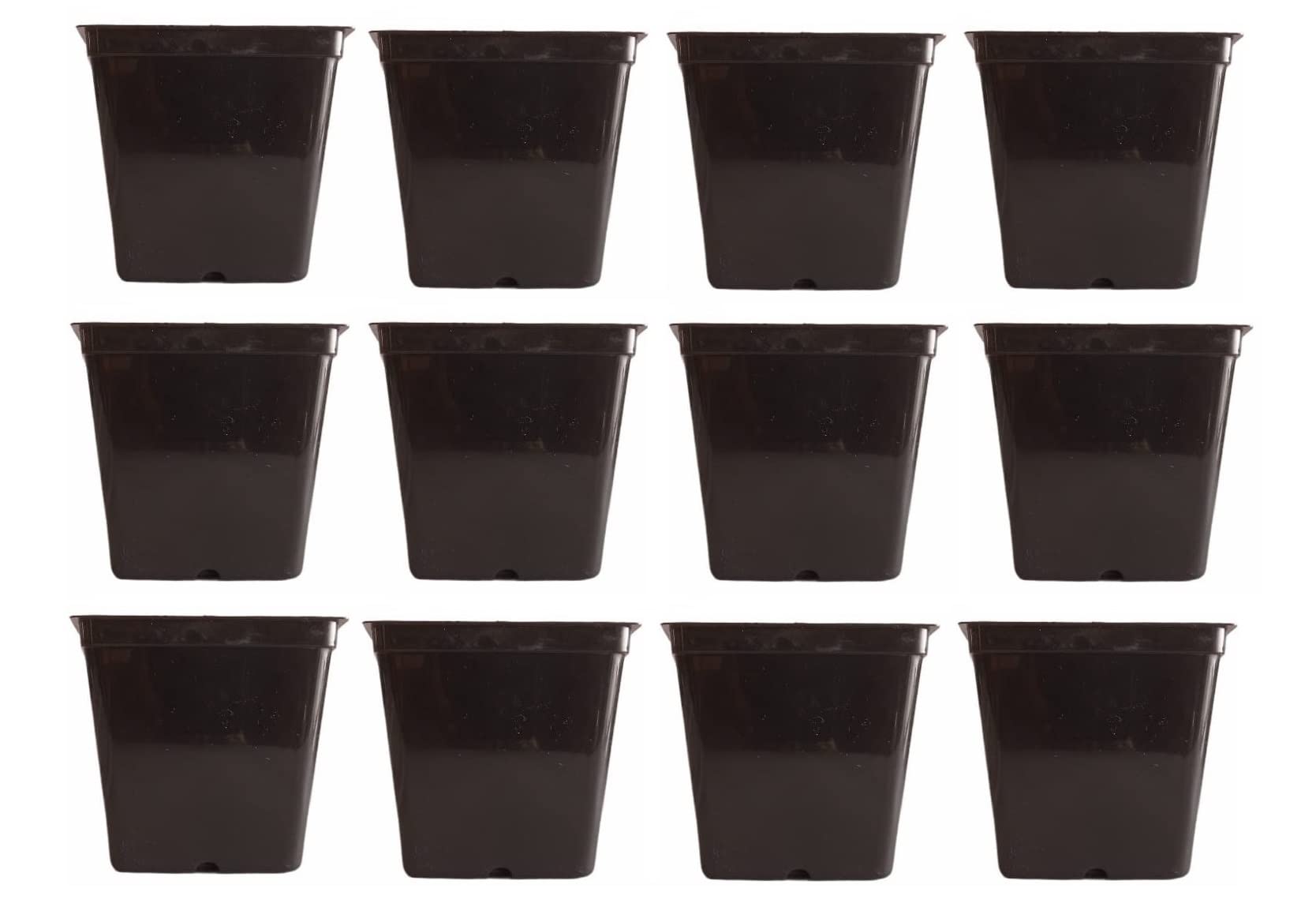 KWEL Square Nursery Pot 5inch Plastic Black Color (Pack of 12) (B0BRTTRVRQ) Amazon Price History, Amazon Price Tracker