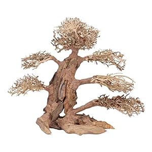 AquaOne Aquarium Bonsai boom XXL nr. 13048 wortel Oriëntaal hout 50x25x40 cm I Aquascaping decoratie I natuur unicum…