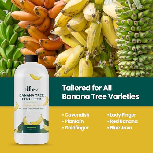 Alimento líquido para plantas de banana 16oz miniatura 5