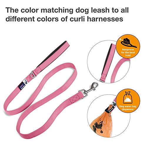 Basic Leash Pink L