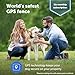 PetSafe Guardian GPS Connected Customizable Fence for 2 Dogs - World's Most Reliable GPS Fence Technology, Subscription-Free GPS Dog Fence, Create Your Own Boundary - Includes 2 Collars