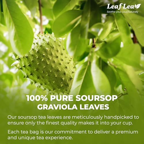 Image of LeafLea 40 Premium Soursop Leaf Tea Bags, Pure & Natural Sour Sop Leaves