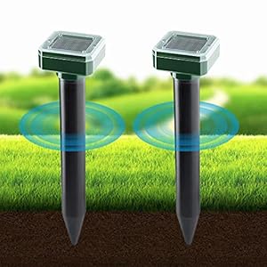 Bizcasa Solar Maulwurfabwehr, 2 Stück Ultrasonic Solar Maulwurf Vertreiber, Stark Maulwurfabwehr Wühlmausschreck Tiervertreiber für Garten- Repeller Mäuse Mole und Schlangen
