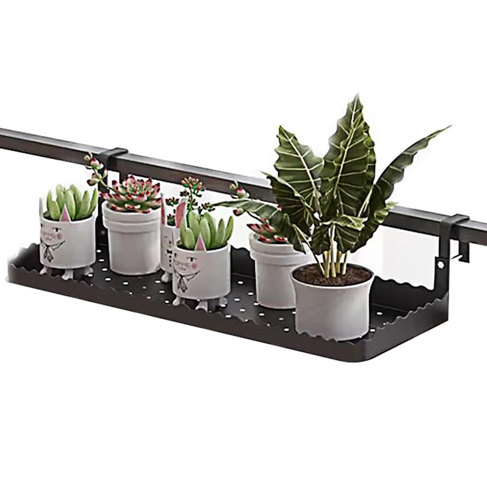 70%OFF空中栽培プランター 70%OFF空中栽培プランター