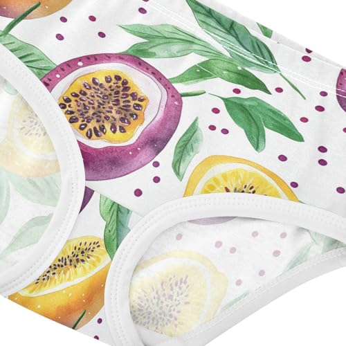 Wusikd Watercolor Passion Girls' Underwear Cotton Fruit Girls Briefs Soft Toddler Underwear 2T4