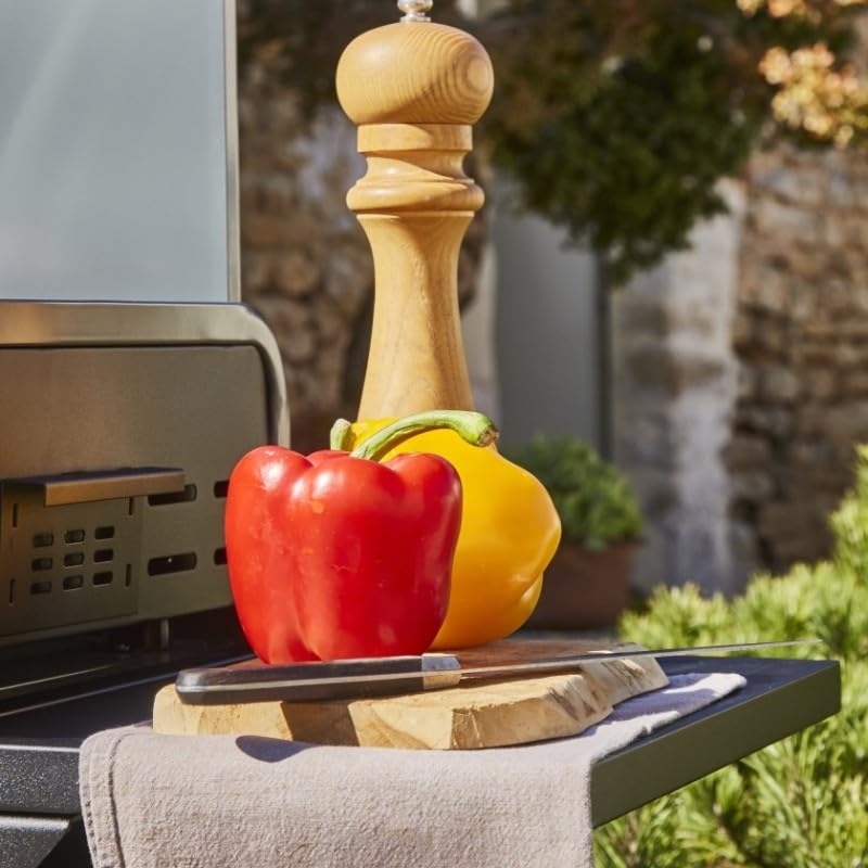 BRASERO - Plancha Lola à gaz sur chariot équipé Gun Metal - 4 brûleurs à gaz - jusqu'à 14 convives - Surface de cuisson 88 x 35,5 cm - 9,6 kW - Récupérateur de graisse