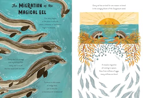 5-Minute Ocean Stories (5-Minute Discovery Stories) - Image 4