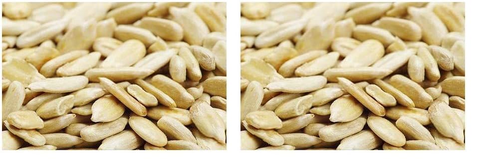 Image of Ancy Sunflower Seeds 1000 Grams (250 Grams X 4) - Surajmukhi Beej | Healthy Crunchy Seeds Snack for Healthy Eating | Raw Sunflower Seeds Rich in Protein & Fiber |Whole Sunflower Dried Seeds for Improve Focus & Heart Health | Super Food for Learning Kids & Whole Households | Surajmukhi Beej Source of Iron