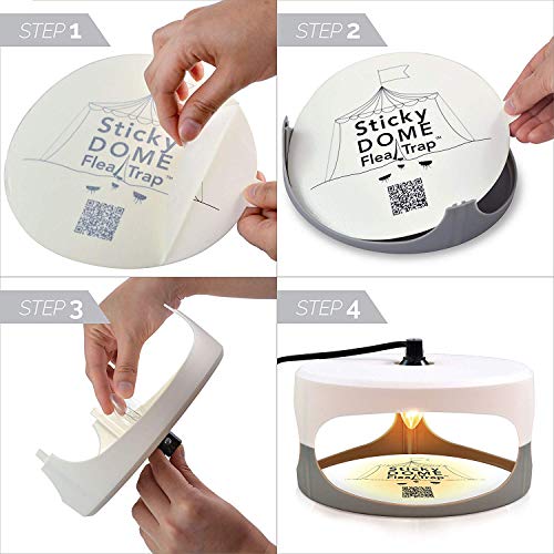 PowerRider Flea Trap Waterproof Non-Toxic No Insecticides Trap Killer Best Bug Trap Pest Control Home (Sticky Disk) - Thumbnail 4