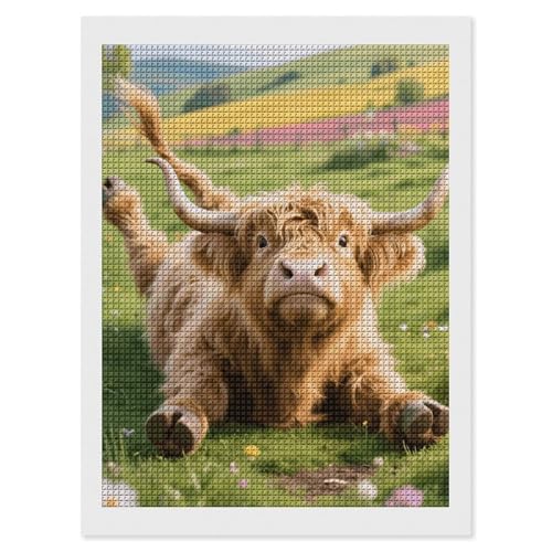 Kit peinture diamant adulte vache des highlands 5d strass carre broderie gemme art 30x40