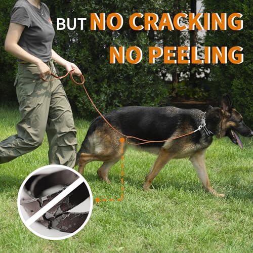HGTC-Silicone-Dog-Leash-with-Double-HandlesWaterproof-and-Odorlessfor-Large-DogsLeather-Like-6FTBrown
