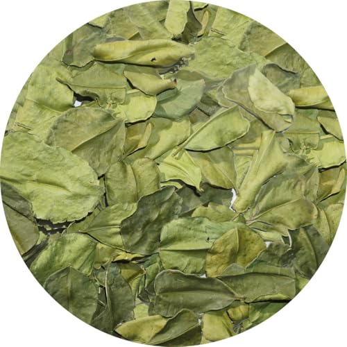 コブミカン バイマックル カフィア ライム kaffir lime プルット スワンギ 瘤蜜柑 (10g)