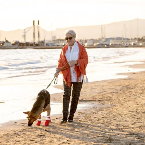 4 Stück Hundeschuhe Winter, Warm Hundeschuhe Pfotenschutz Outdoor mit Rutschfester Sohle, Verstellbarem Klettverschluss, Winter Schnee Hundestiefel für kleine, mittlere Sport im Freien (Rot)