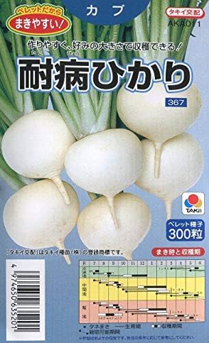 タキイ種苗 カブ耐病ひかり ペレット種子タキイ交配野菜種秋まき/300粒