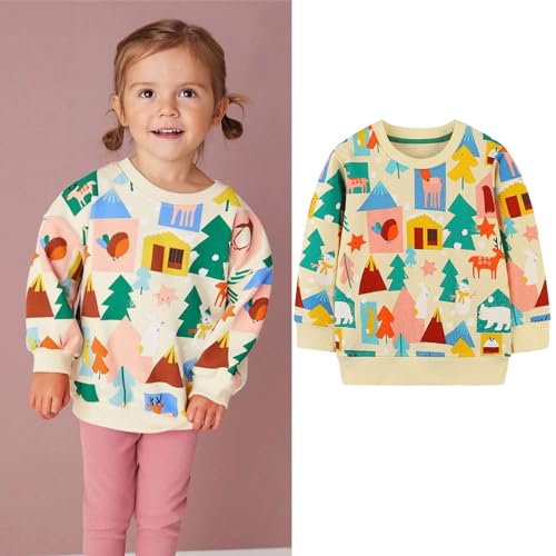 Boys' Long Sleeve Hooded Toddler Boy's Girl's Cartoon Prints Long Sleeves Crewneck Pullover Pocket Pullover3