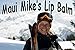MAUI MIKE'S Best Tasting Lip Balm STRAWBERRY (4 PACK) Contains Aloe Vera,Vitamin E and Beeswax. Glides on Smooth Like the Perfect Wave. Great for Chapped Lips. Non Waxy.
