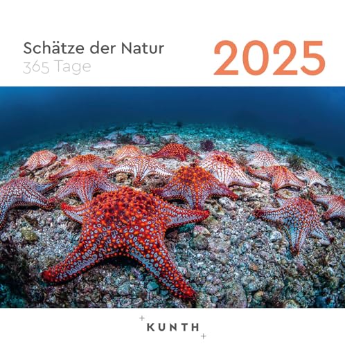 Schätze der Natur - KUNTH 365-Tage-Abreißkalender 2025: Tägliche Inspiration in Bild und Text. Kalender zum Aufhängen oder Aufstellen.