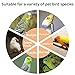 MANON ROSA Natural Spray Millet Healthy Bird Treat and Supplement for All Pet Birds Cockatiel Budgie Finches Parrots Hamster (S(5))
