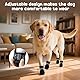 4 PCS Hundeschuhe Sommer, Hundeschuhe Pfotenschutz, Pfotenschutz für Hunde, Ausgestattet mit Reflektierendem Band, Geeignet für Den Lnnen- und Außenbereich, Atmungsaktiv und Verschleißfest/Schwarz 6