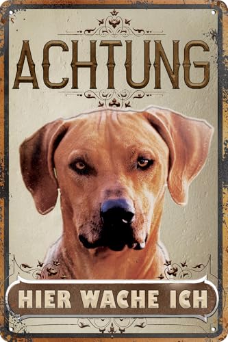 30 x 20 cm wetterfestes Blechschild, Warnhinweis, Torschild, Achtung, hier Wache ich! Warnung vor dem Hund (Rhodesian Ridgeback)